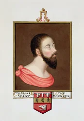 Retrato de Sir Thomas Wyatt el Joven (c.1521-54) de 